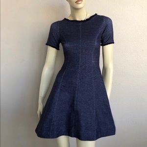 Banana Republic Denim Fit and Flare Dress